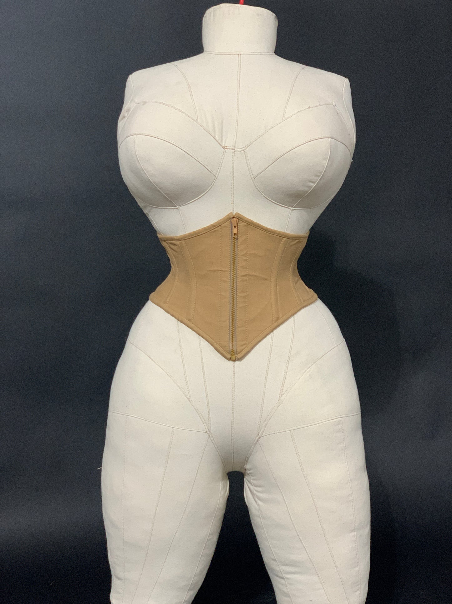 WASP CORSET BELT: "CLASSICS" COLLECTION