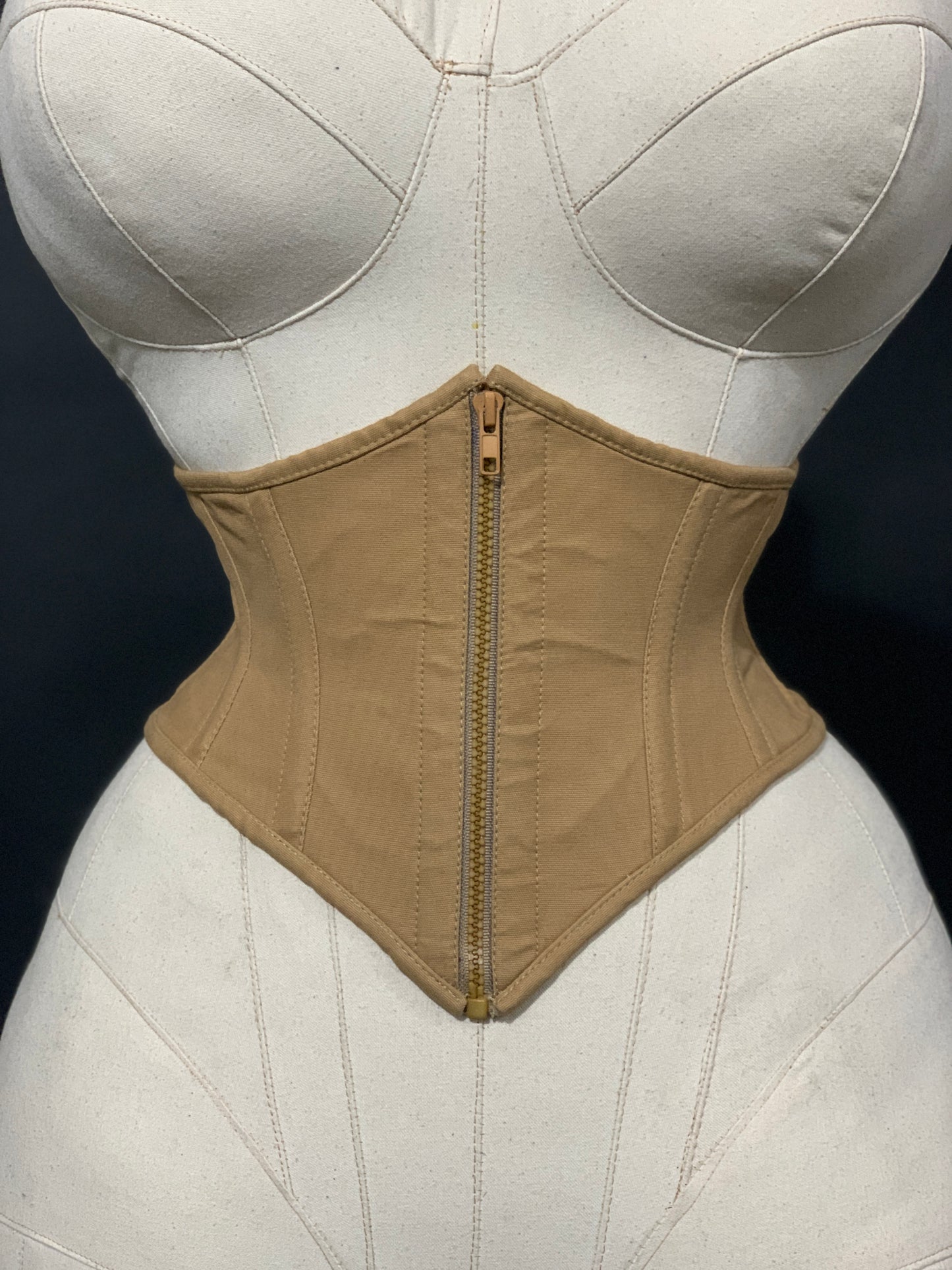 WASP CORSET BELT: "CLASSICS" COLLECTION