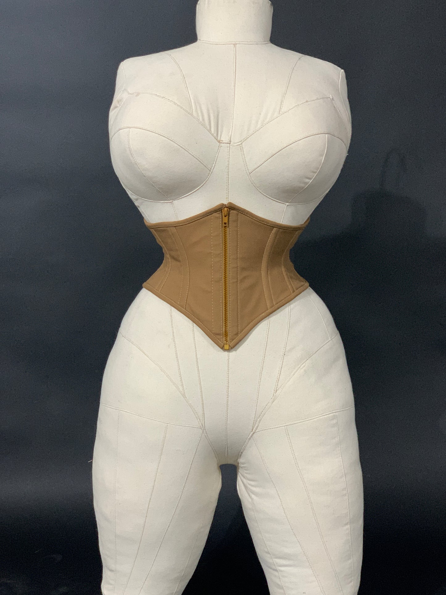 WASP CORSET BELT: "CLASSICS" COLLECTION