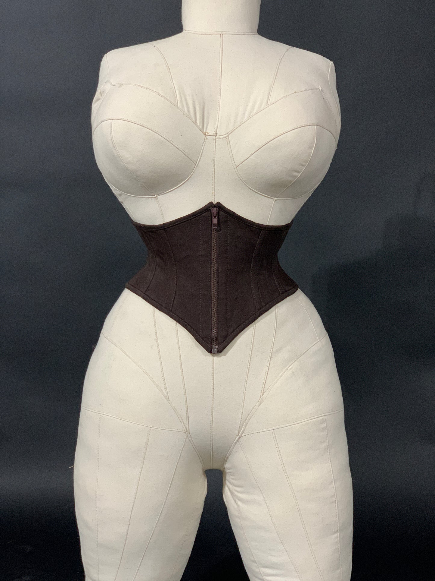 WASP CORSET BELT: "CLASSICS" COLLECTION