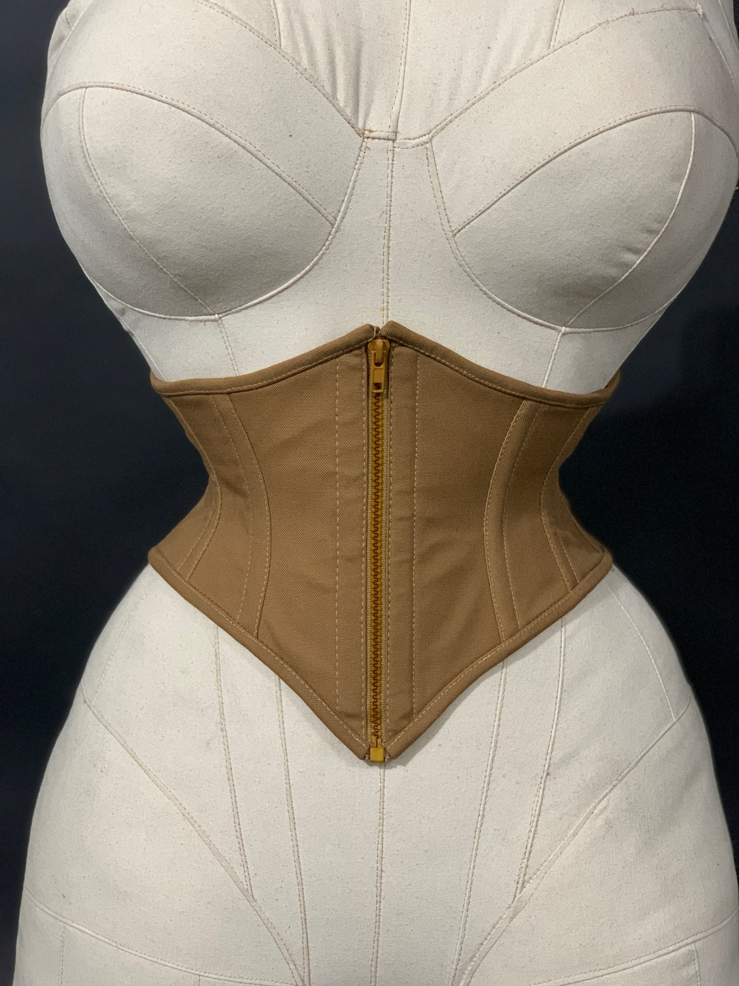 WASP CORSET BELT: "CLASSICS" COLLECTION